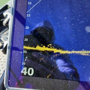 Yellow perch fishing Presque Isle Bay on FFS